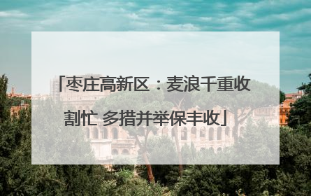 枣庄高新区：麦浪千重收割忙 多措并举保丰收