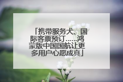 携带服务犬、国际客票预订……鸿蒙版中国国航让更多用户心愿成真