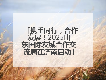 携手同行，合作发展！2025山东国际友城合作交流周在济南启动