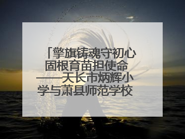 擎旗铸魂守初心 固根育苗担使命——天长市炳辉小学与萧县师范学校附属小学结对共建活动纪实