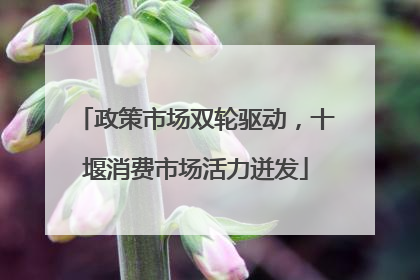 政策市场双轮驱动，十堰消费市场活力迸发