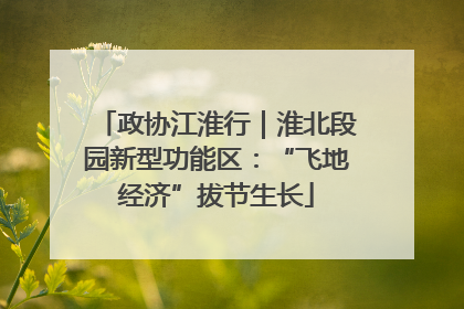 政协江淮行｜淮北段园新型功能区：“飞地经济”拔节生长