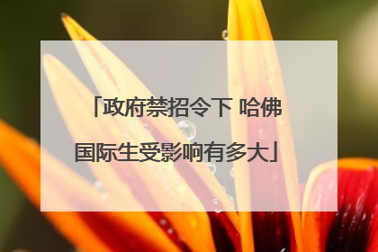 政府禁招令下 哈佛国际生受影响有多大