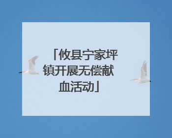 攸县宁家坪镇开展无偿献血活动