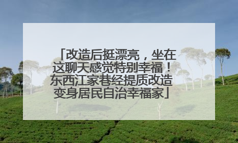 改造后挺漂亮，坐在这聊天感觉特别幸福！东西江家巷经提质改造变身居民自治幸福家