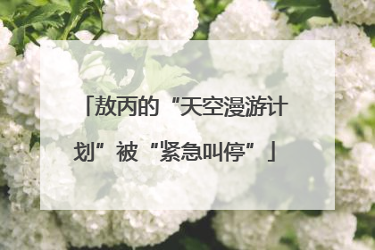 敖丙的“天空漫游计划”被“紧急叫停”
