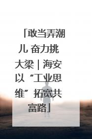 敢当弄潮儿 奋力挑大梁｜海安以“工业思维”拓宽共富路