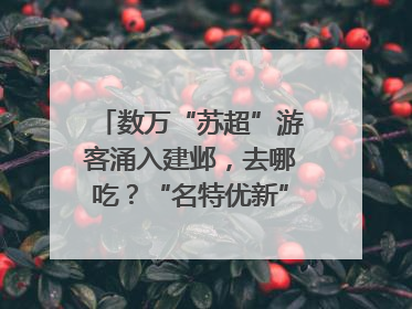 数万“苏超”游客涌入建邺，去哪吃？“名特优新”商户地图严选30家宝藏店铺