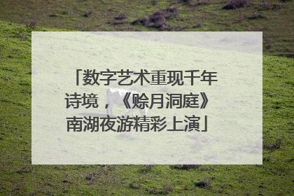 数字艺术重现千年诗境，《赊月洞庭》南湖夜游精彩上演
