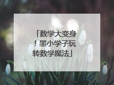 数学大变身！墨小学子玩转数学魔法
