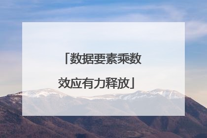 数据要素乘数效应有力释放