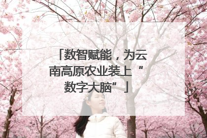 数智赋能，为云南高原农业装上“数字大脑”