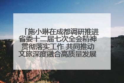 施小琳在成都调研推进省委十二届七次全会精神贯彻落实工作 共同推动文旅深度融合高质量发展 加快打造支柱产业民生产业幸福产业