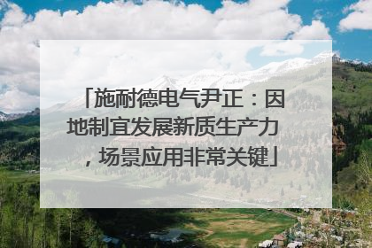 施耐德电气尹正：因地制宜发展新质生产力，场景应用非常关键