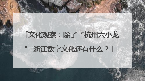 文化观察：除了“杭州六小龙” 浙江数字文化还有什么？