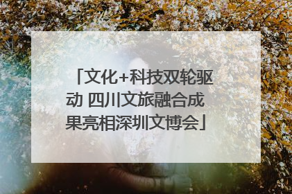 文化+科技双轮驱动 四川文旅融合成果亮相深圳文博会