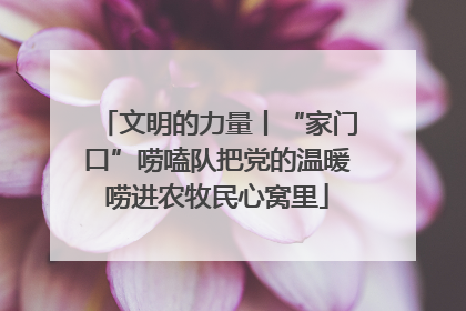 文明的力量丨“家门口”唠嗑队把党的温暖唠进农牧民心窝里
