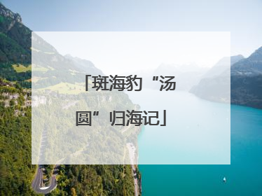斑海豹“汤圆”归海记