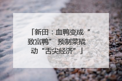 新田：血鸭变成“致富鸭” 预制菜撬动“舌尖经济”