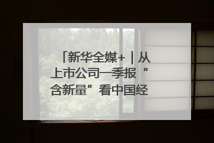 新华全媒+｜从上市公司一季报“含新量”看中国经济发展向“新”