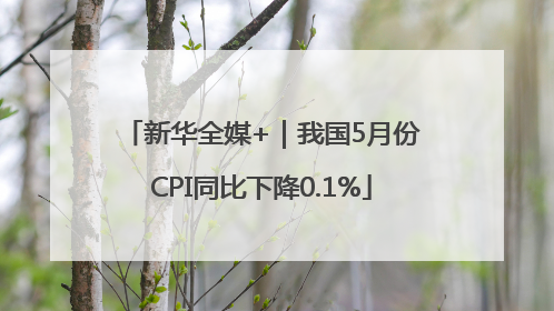 新华全媒+｜我国5月份CPI同比下降0.1%