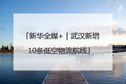 新华全媒+｜武汉新增10条低空物流航线