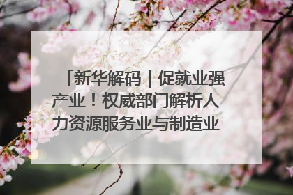 新华解码｜促就业强产业！权威部门解析人力资源服务业与制造业融合发展试点