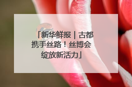 新华鲜报｜古都携手丝路！丝博会绽放新活力