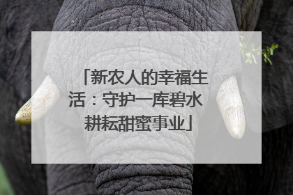 新农人的幸福生活：守护一库碧水 耕耘甜蜜事业