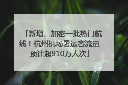 新增、加密一批热门航线！杭州机场暑运客流量预计超910万人次