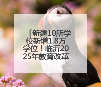 新建10所学校新增1.8万学位！临沂2025年教育改革这样做