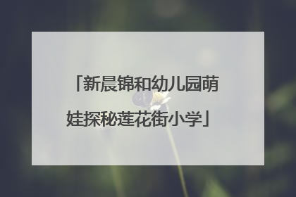 新晨锦和幼儿园萌娃探秘莲花街小学