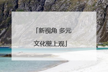 新视角 多元文化壁上观