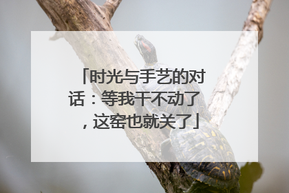 时光与手艺的对话：等我干不动了，这窑也就关了
