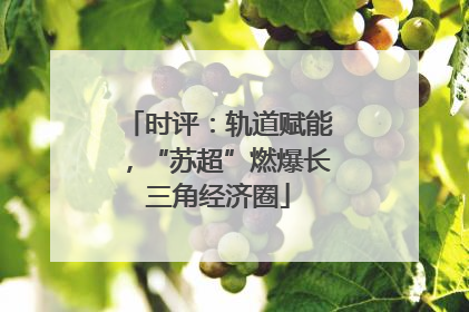 时评：轨道赋能，“苏超”燃爆长三角经济圈
