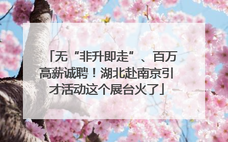 无“非升即走”、百万高薪诚聘！湖北赴南京引才活动这个展台火了