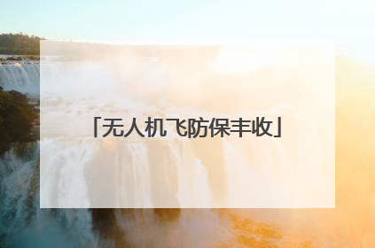 无人机飞防保丰收