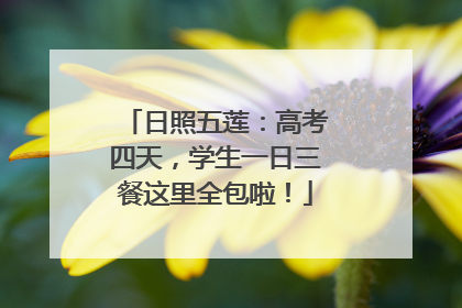 日照五莲：高考四天，学生一日三餐这里全包啦！