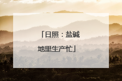 日照：盐碱地里生产忙
