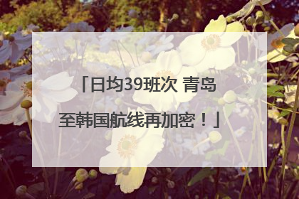 日均39班次 青岛至韩国航线再加密！