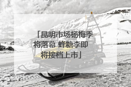 昆明市场杨梅季将落幕 蜂糖李即将接档上市