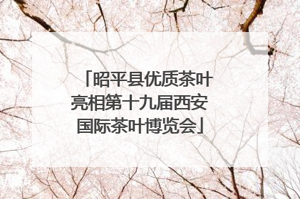 昭平县优质茶叶亮相第十九届西安国际茶叶博览会