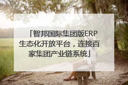 智邦国际集团版ERP生态化开放平台，连接百家集团产业链系统