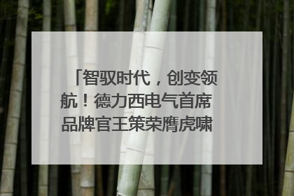 智驭时代，创变领航！德力西电气首席品牌官王策荣膺虎啸奖年度品牌人物