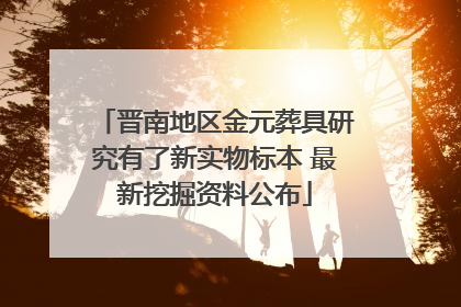 晋南地区金元葬具研究有了新实物标本 最新挖掘资料公布