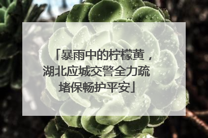 暴雨中的柠檬黄，湖北应城交警全力疏堵保畅护平安