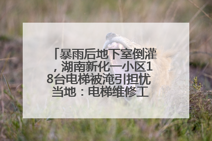 暴雨后地下室倒灌，湖南新化一小区18台电梯被淹引担忧 当地：电梯维修工作正逐步实施