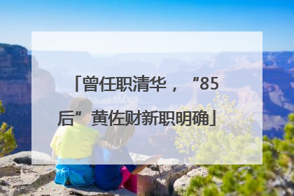 曾任职清华，“85后”黄佐财新职明确