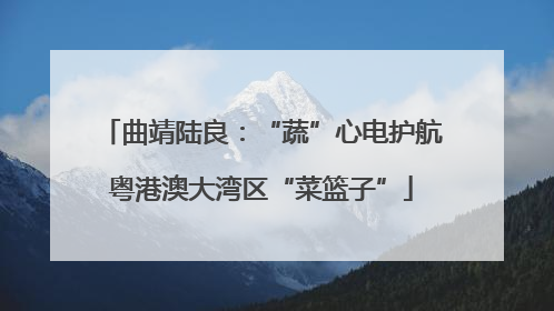 曲靖陆良：“蔬”心电护航粤港澳大湾区“菜篮子”