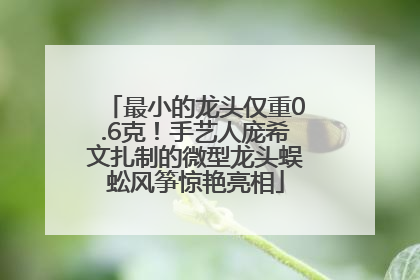 最小的龙头仅重0.6克！手艺人庞希文扎制的微型龙头蜈蚣风筝惊艳亮相